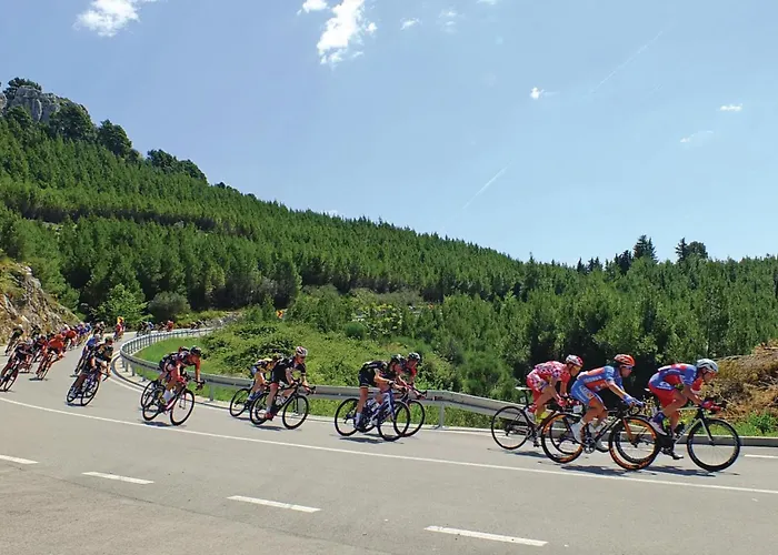 3 Bedroom Awesome In *